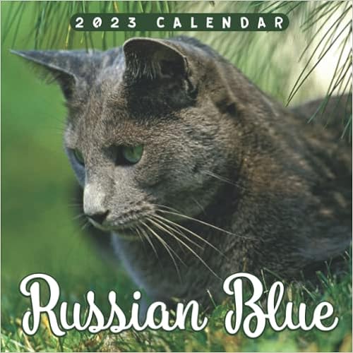 Russian Calendar 2023 Russian Blue Calendar 2023: Cool Gift For You, Your Family And Friends With  18-Month Calendar From Jul 2022 To Dec 2023. Ample Space For Notes, To Do  List, Events, Appointments And Deadlines: