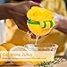 Stainless Steel Professional Manual Lemon Squeezer / Lime Juicer / Citrus Press