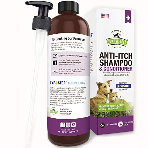Anti Itch Dog Shampoo for Dry Itchy Skin 16 oz Medicated - Main Image