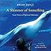 A Shimmer of Something: Lean Stories of Spiritual Substance by Brian Doyle