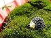 Ginsco Miniature Ornament Hedgehog & Mushroom Set for Dollhouse Decor Fairy Garden