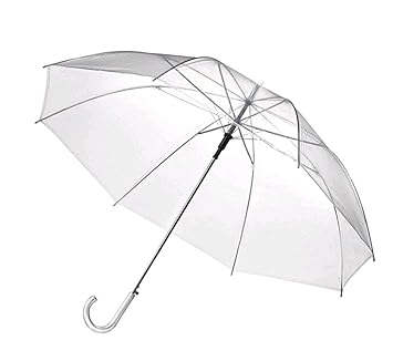 Vrct Transparent Fashion Plastic Ful Long Handle Automatic Umbrella