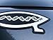 DNA Fish Darwin Magnetic Car Emblem - 5.5