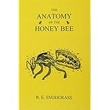 The Anatomy of the Honey Bee