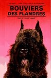 Bouvier Des Flandre