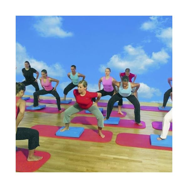 Airex Balance Pad Elite 50 x 41 cm - Blue