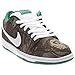 Nike Men's Dunk Low Premium SB Skate Shoe