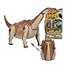 Ziyier G&E: Pack of 4 Transforming Dino Eggs Toy Package