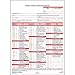 100 Annual Vehicle Inspection Report, 3-Ply, Carbonless