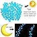 Glow in the Dark Garden Pebbles Stone for Walkway Yard and Decor DIY Decorative Gravel Stones in Blue & Green (200, Blue & Green)