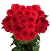 Send 50 Red Roses | Fresh Flowers Express Delivery | Perfect For Birthday, Anniversary, Love or Any Occasion.