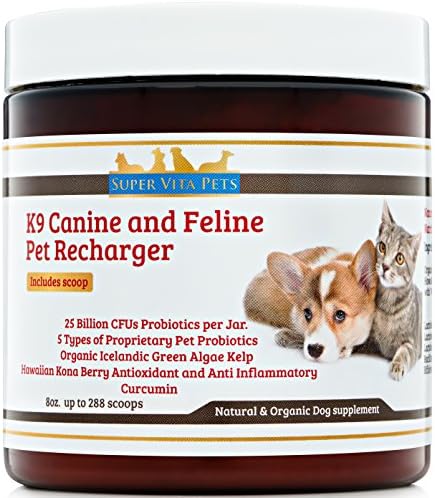 Super Vita Pets Best Probiotics for Dogs with Organic Iceland Ocean Green Algae Kelp - Curcumin - Hawaiian Kona Berry