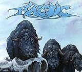 ARCTIC (DIGIPAK)                                   image