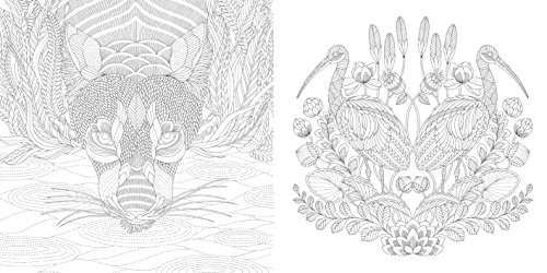 Animal Kingdom: Color Me, Draw Me (A Millie Marotta Adult ...