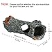 DaToo Aquarium Wood Ornament Fish Tank Trunk Decoration Tree Wood Driftwood Decor With Cave, 1 Yr Warranty
