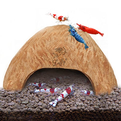 SunGrow Coco Shrimp Cave, 5-inches Wide by 3-inches Tall, Coco Hut, Comfortable Hideout for Crustaceans, Perfect Breeding Area, Promotes Molting and Breeding, Aquarium Decor