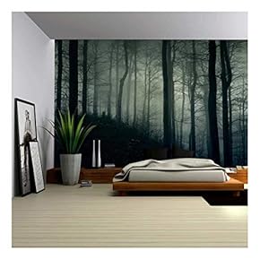 A Dark and Misty Forest Wall Mural