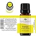 Plant Therapy Energy Essential Oil Blend 10 mL (1/3 oz) Refreshing, Energizing Blend 100% Pure, Undiluted, Natural Aromatherapy, Therapeutic Grade