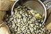 Peru Approcassi Cajamarca Fair Trade Shade Grown Organic Coffee Beans (Unroasted Green Beans, 5 Pounds Whole Beans)