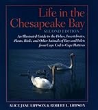 Life in the Chesapeake Bay, Lippson, Alice Jane and Lippson, Robert L., 0801854768