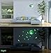 Luminous Sticker, Proboths Creative Halloween Luminous Sticker Glow in Dark Removable Home Wall Decal Moon&Bats