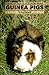 Guinea Pigs by 