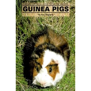 Guinea Pigs