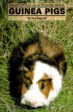 Guinea Pigs by Kay Ragland