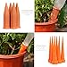 Garden's Sister Terracotta Water Spikes for Plants - Set of 4 Watering Stakes - 6 Bonus Plastic Watering Spikes