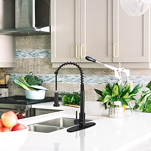 Matte Black Kitchen Faucet with Pull Down Sprayer, Lanhado Commercial Spring Kitchen Sink Faucet with Deck Plate, Single Handle One Hole Kitchen Faucets for RV, Stainless Steel Faucet for Kitchen Sink