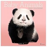 2020 Baby Animals Wall Calendar by