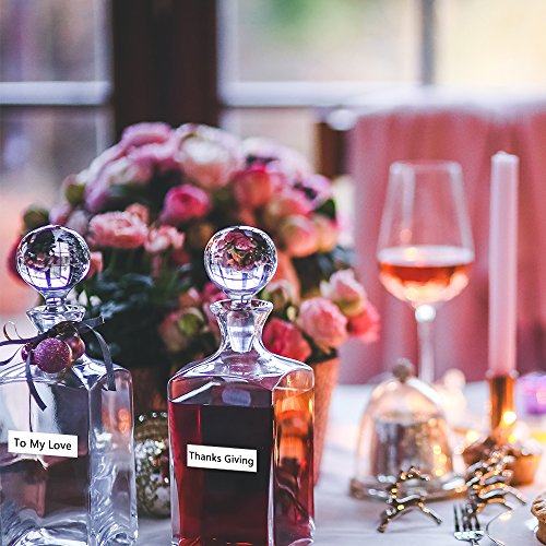 5 Laminated+Black+TZe+231+Compatible+Brother