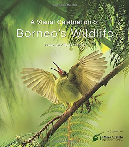 Download Visual Celebration of Borneo's Wildlife (English Edition) PDF