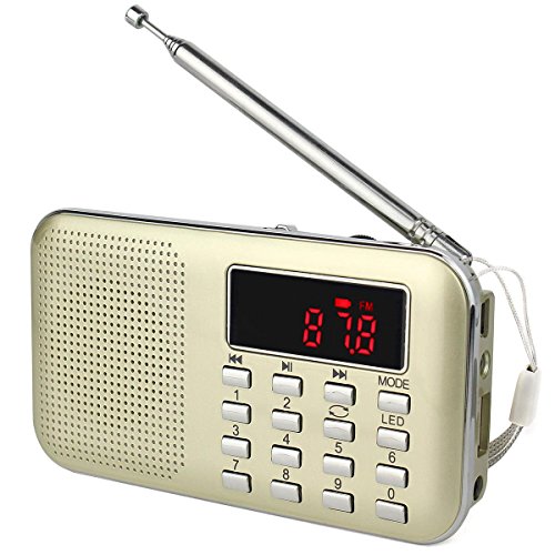 TIVDIO-L-218-Portable-AMFM-Transistor-Radio-with-Mp3-Music-Player-Speaker-Support-Micro-IF-Card-Gold