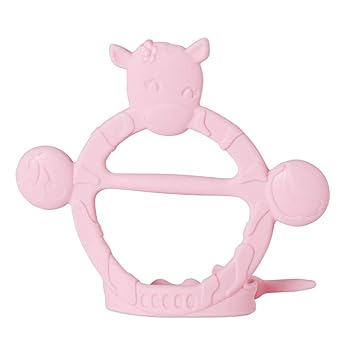 teething toys for 2 year old molars