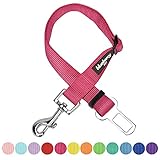 Blueberry Pet Classic Dog Seatbelt image large Blueberry Pet Classic Dog Seatbelt image large