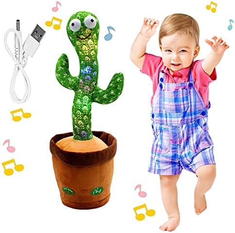 dracaena fr drauen Dracaena draco  Adplants