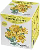 Huerto Urbano - Kit Happy Garden Girasol Enano - Batlle: Amazon.es ...