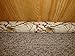 Door Draft, Light, Dust Stopper All Natural Buckwheat, Many Colors & Sizes (2" x 32", Chickadees)
