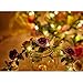 COSOON 4 Pcs LED Flower Wreath Headband - Crown Floral Garland Boho for Festival Wedding, Wreath Headdress with LED Decor T013