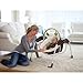 Graco Glider Petite LX Gliding Swing, Go Green