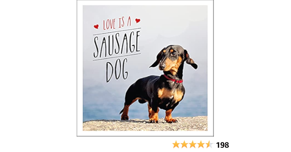 best dog proof couch