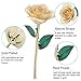 24K Beige Rose Christmas Gifts for Her, Dipped Gold Rose Eternity Love Real Golden Plated Preserved Eternal Flower with Rose Stand Present for Wife/Mom/Grandma (Beige)