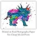 Dinosaur Watercolor Wall Art Print - Set of Four (8x10) Unframed Photos - Perfect Gift for Boys and Kids Rooms, Nursery - Chic Home Decor