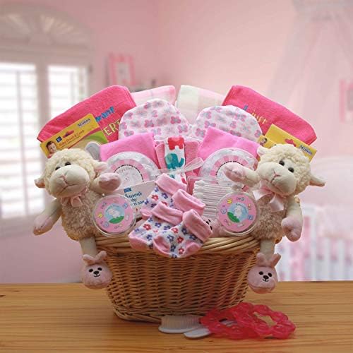 Twin baby gift baskets Clearance