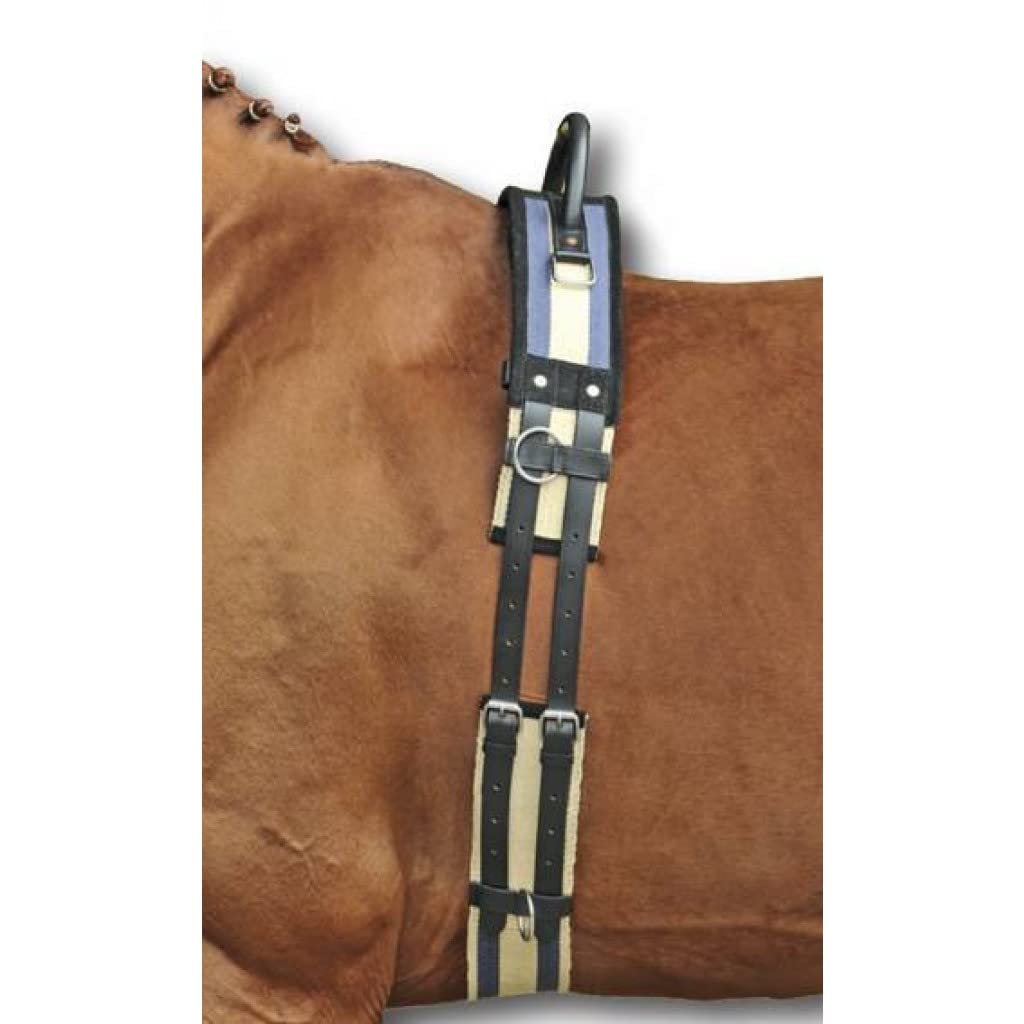 HKM SPORTS EQUIPMENT 17956925.1347 1795 Lunging Belt with Grab Handle, Canvas Pony Shetty VB/WB