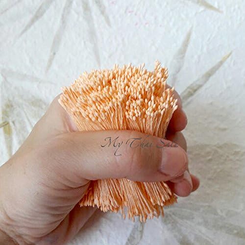 4800 Heads Peach Round Small peach yarn Flower Stamens