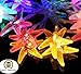 TLTSHOPS 20 LED Colorful Starfish String Lights (Multi-Color), Great for Festival Parties,Decorations,Wedding etc LED016