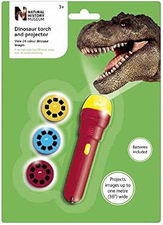 Brainstorm Toys - Linterna con proyector de imágenes de ...