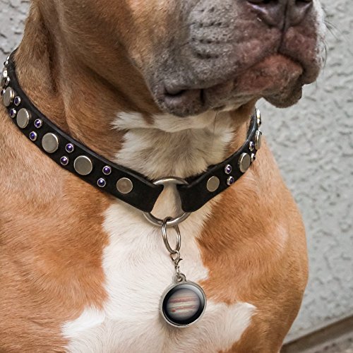 Planet Jupiter Solar System Chrome Plated Metal Pet Dog Cat ID Tag - Large